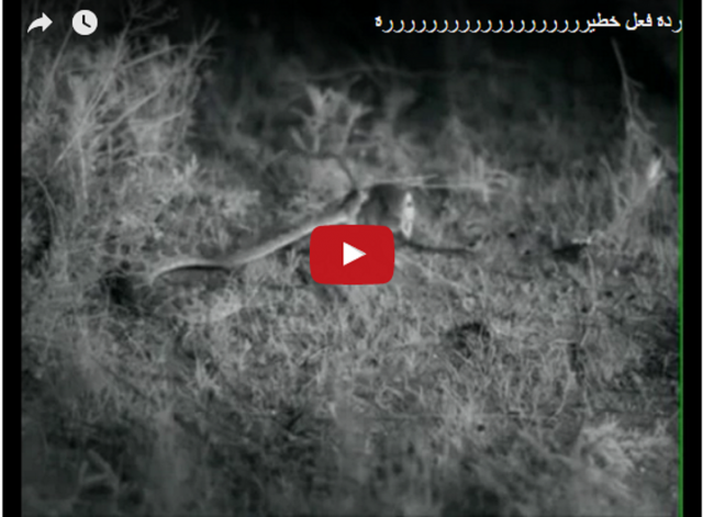 سبحان الله على ردة الفعل