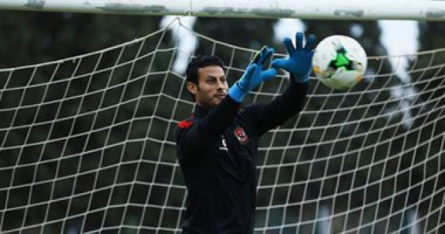 الأهلى ينهى أزمة سفر محمد الشناوى.. واللاعب جاهز لمواجهة فيتا كلوب