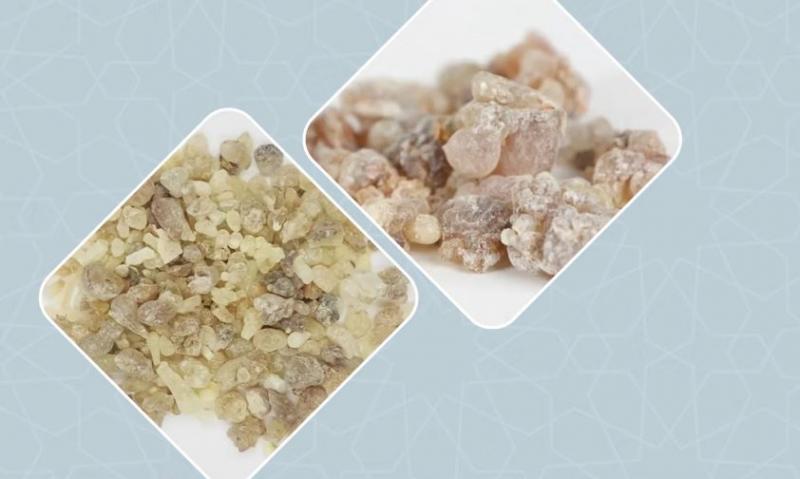 أفضل متجر لمرطب اللبان في السعودية