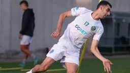 أخبار الأهلي