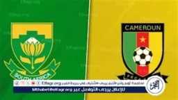 بطولات إفريقية